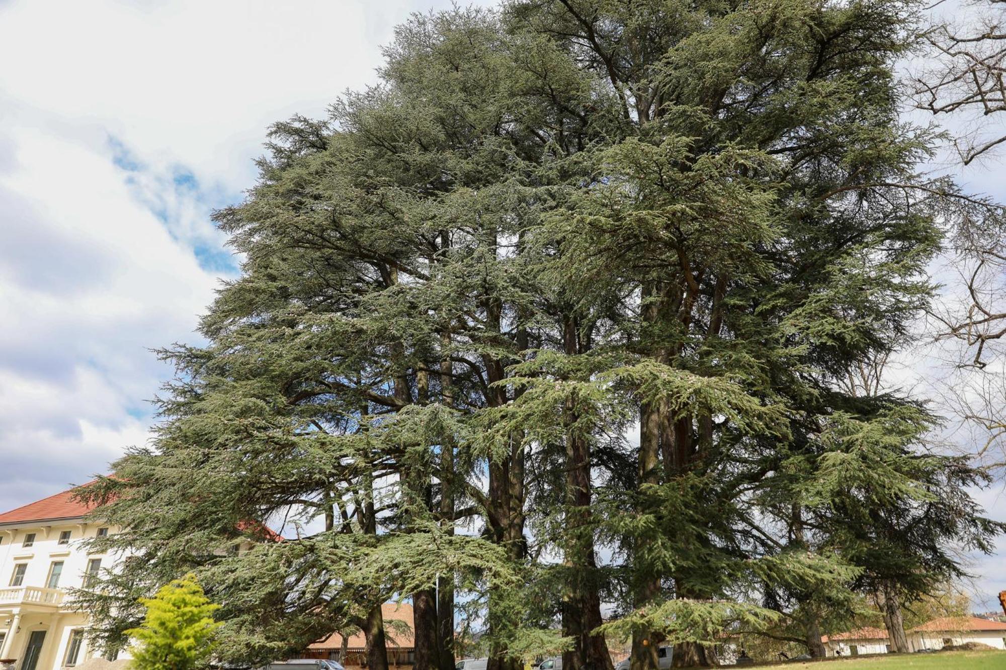 Sequoias Golf & Ressort Otel Ruy-Montceau Dış mekan fotoğraf